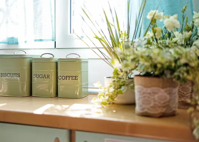 Domus Regina Elena 펜션